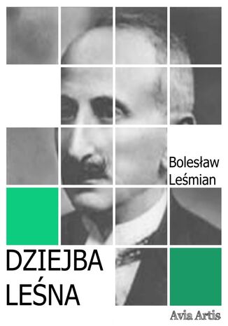 Dziejba leśna Bolesław Leśmian - okladka książki