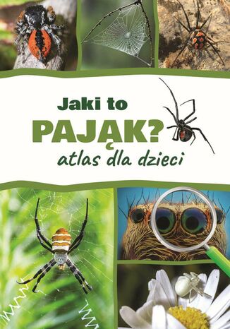 Jaki to pająk? Atlas dla dzieci Jacek Twardowski - okladka książki