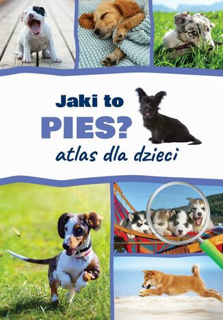 Jaki to pies? Atlas dla dzieci Anna Iglikowska - okladka książki