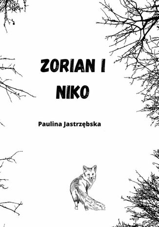 Zorian i Niko Paulina Jastrzębska - okladka książki