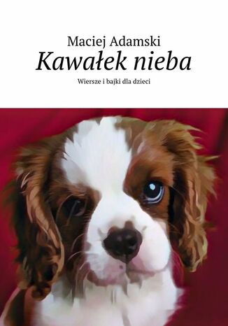 Kawałek nieba Maciej Adamski - okladka książki
