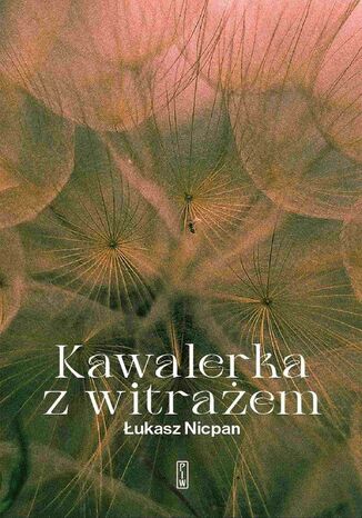 Kawalerka z witrażem Łukasz Nicpan - okladka książki