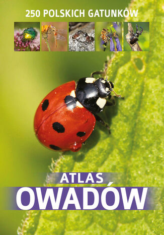 Atlas owadów Kamila Twardowska - okladka książki