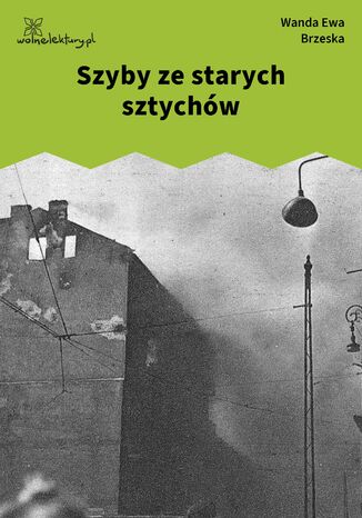 Szyby ze starych sztychów Wanda Ewa Brzeska - okladka książki