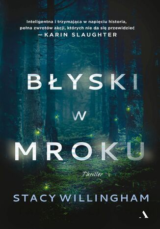 Błyski w mroku Stacy Willingham - okladka książki