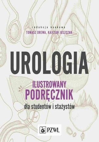 Urologia. Ilustrowany podręcznik dla studentów i stażystów Tomasz Drewa, Kajetan Juszczak - okladka książki