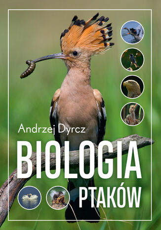 Biologia ptaków Andrzej Dyrcz - okladka książki