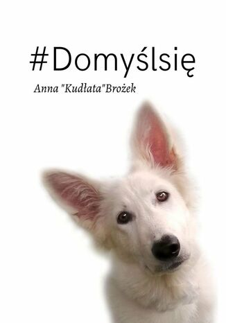 Domyśl się! Anna Brożek - okladka książki