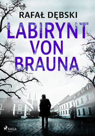 Labirynt von Brauna Rafał Dębski - okladka książki