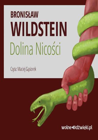 Dolina Nicości Bronisław Wildstein - okladka książki