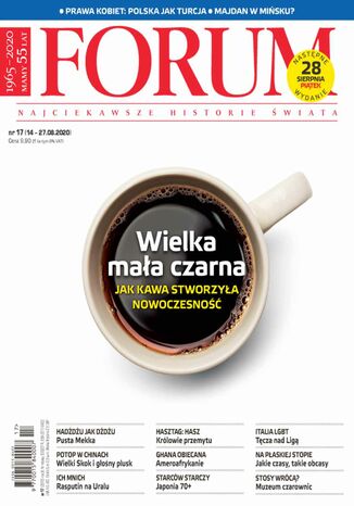 Forum nr 17/2020 Opracowanie zbiorowe - okladka książki