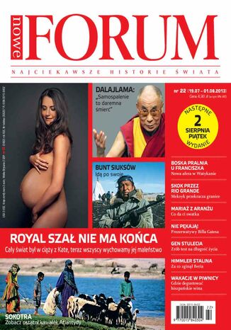 Forum nr 22/2013 Opracowanie zbiorowe - okladka książki