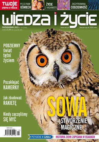 Wiedza i Życie nr 10/2021 Opracowanie zbiorowe - okladka książki