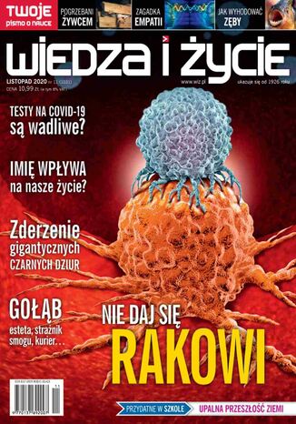 Wiedza i Życie nr 11/2020 Opracowanie zbiorowe - okladka książki