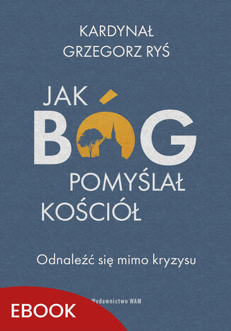 Jak Bóg pomyślał Kościół. Odnaleźć się mimo kryzysu Kard. Grzegorz Ryś - okladka książki