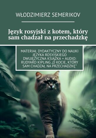 Język rosyjski z kotem, który sam chadzał na przechadzkę Włodzimierz Semerikov - okladka książki