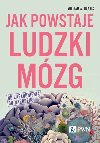 Jak powstaje ludzki mózg Od zapłodnienia do narodzin William A. Harris - okladka książki