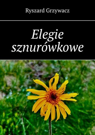 Elegie sznurówkowe Ryszard Grzywacz - okladka książki