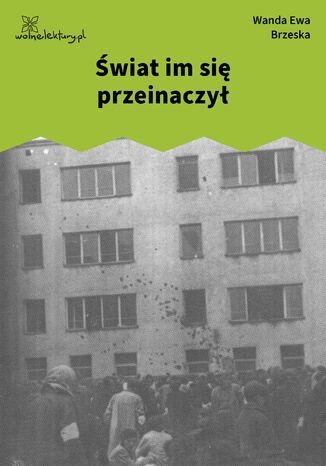 Świat im się przeinaczył Wanda Ewa Brzeska - okladka książki