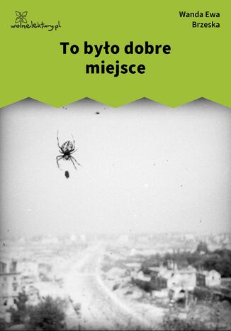 To było dobre miejsce Wanda Ewa Brzeska - okladka książki