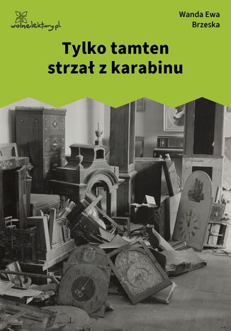 Tylko tamten strzał z karabinu Wanda Ewa Brzeska - okladka książki