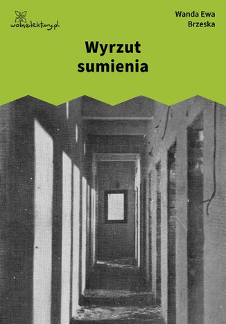 Wyrzut sumienia Wanda Ewa Brzeska - okladka książki