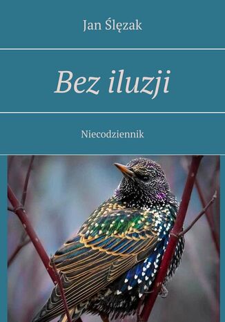 Bez iluzji Jan Ślęzak - okladka książki