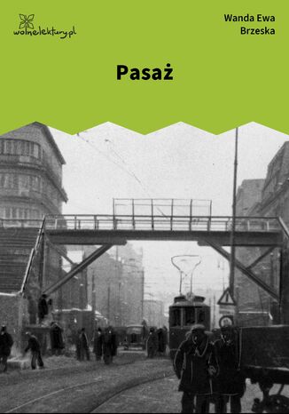 Pasaż Wanda Ewa Brzeska - okladka książki