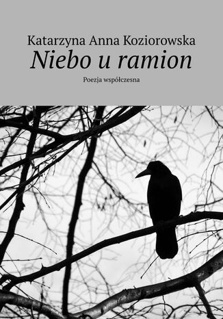 Niebo u ramion Katarzyna Koziorowska - okladka książki