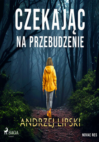 Czekając na przebudzenie Andrzej Lipski - okladka książki