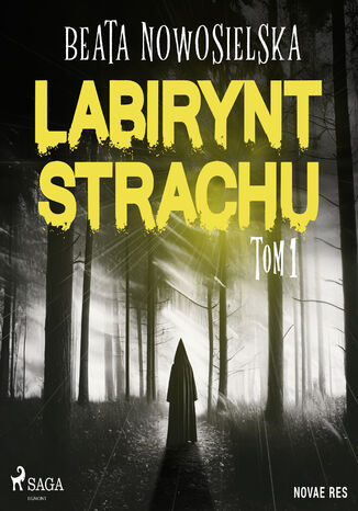 Labirynt strachu. Tom 1 (#1) Beata Nowosielska - okladka książki