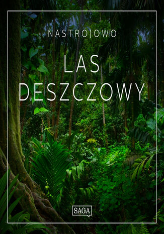 Nastrojowo - Las Deszczowy Rasmus Broe - okladka książki