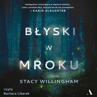 Błyski w mroku Stacy Willingham - audiobook MP3