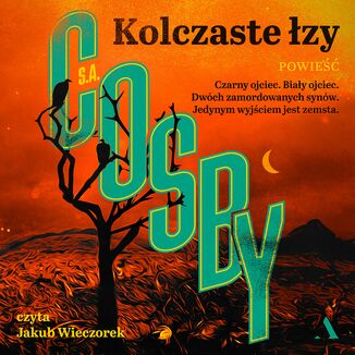 Kolczaste łzy S.A. Cosby - audiobook MP3