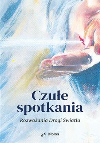 Czułe spotkania. Rozważania drogi światła Agnieszka Majewska (red.), Elżbieta Smajdor, Anna Krajewska, Katarzyna Prokopowicz, Irmina Śliwińska, Magdalena Figas - okladka książki