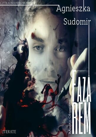 Faza REM Agnieszka Sudomir - audiobook MP3