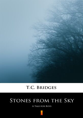 Stones from the Sky. A Tale for Boys T.C. Bridges - okladka książki