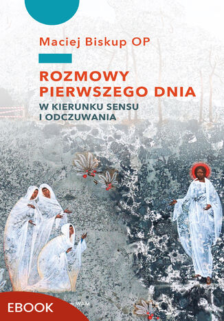 Rozmowy pierwszego dnia. W kierunku sensu i odczuwania Maciej Biskup OP - okladka książki