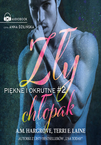 Zły chłopak Terri E. Laine, A. M. Hardgrove - audiobook MP3