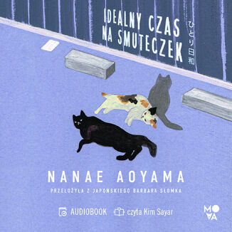 Idealny czas na smuteczek Nanae Aoyama - audiobook MP3