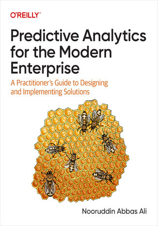 Predictive Analytics for the Modern Enterprise Nooruddin Abbas Ali - okladka książki