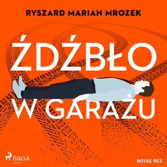 Źdźbło w garażu Ryszard Marian Mrozek - okladka książki