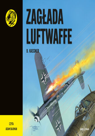 Zagłada Luftwaffe. Żółty tygrys B. Kassner - okladka książki