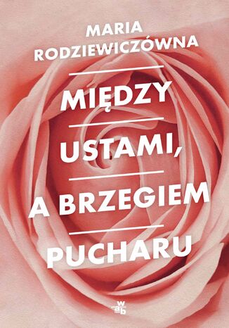 Między ustami, a brzegiem pucharu Maria Rodziewiczówna - okladka książki