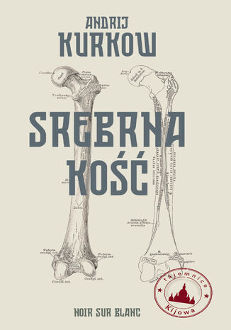 Srebrna kość. Tajemnice Kijowa Andrij Kurkow - okladka książki