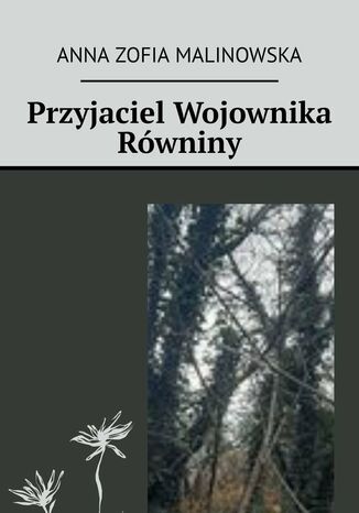 Przyjaciel Wojownika Równiny Anna Malinowska - okladka książki