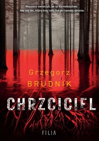 Chrzciciel Grzegorz Brudnik - okladka książki