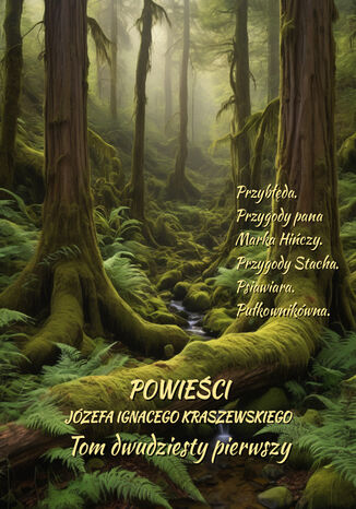 Powieści Józefa Ignacego Kraszewskiego. Tom 21 Józef Ignacy Kraszewski - okladka książki