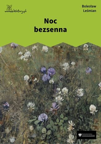 Noc bezsenna Bolesław Leśmian - okladka książki