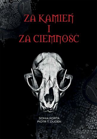 Za kamień i za ciemność Sonia Korta, Piotr T. Dudek - okladka książki